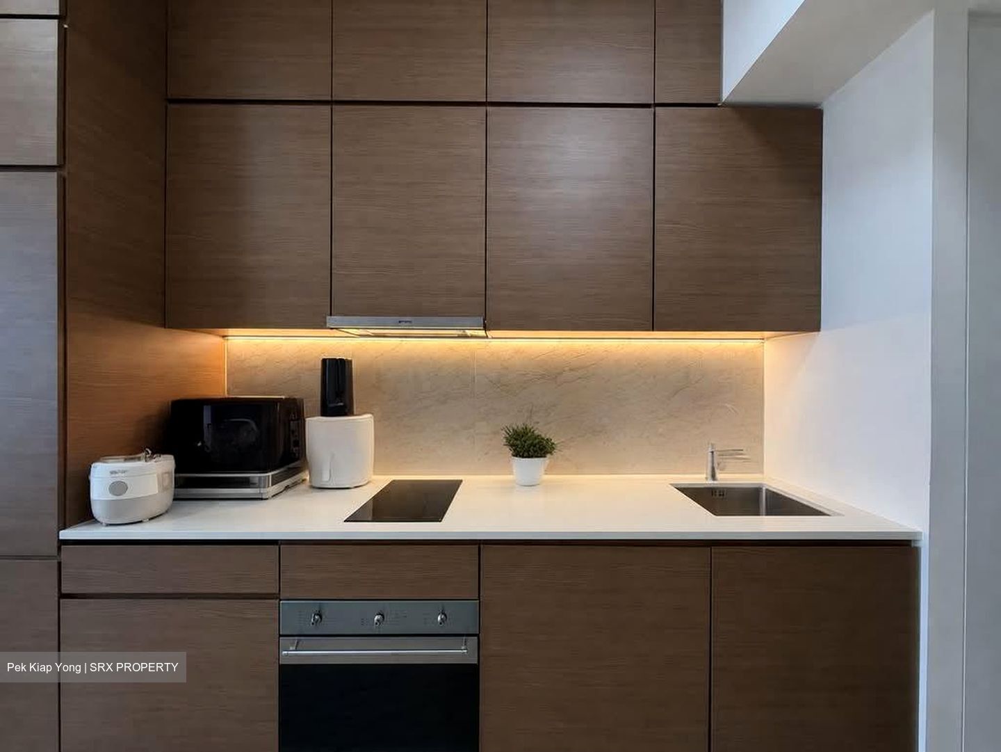 Queens Peak (D3), Condominium #556362581